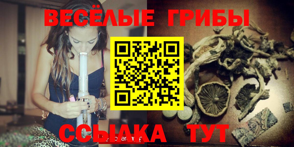 Псилоцибиновые грибы Psilocybine cubensis Зима
