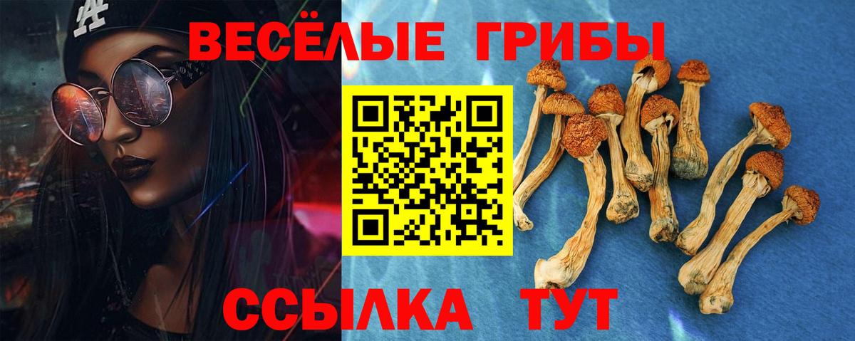 Псилоцибиновые грибы Cubensis  Вход с VPN  Зима 